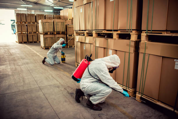 Best Insect Control  in Forrest, IL