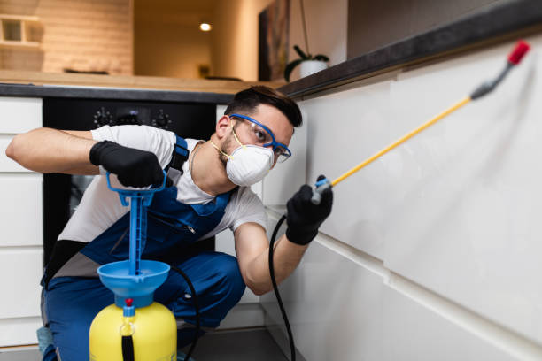 Best Best Pest Control Companies  in Forrest, IL