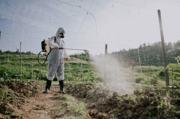 Best Pest Removal Services  in Forrest, IL