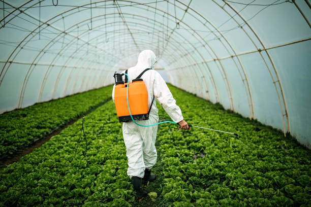Best Mosquito Control Services  in Forrest, IL