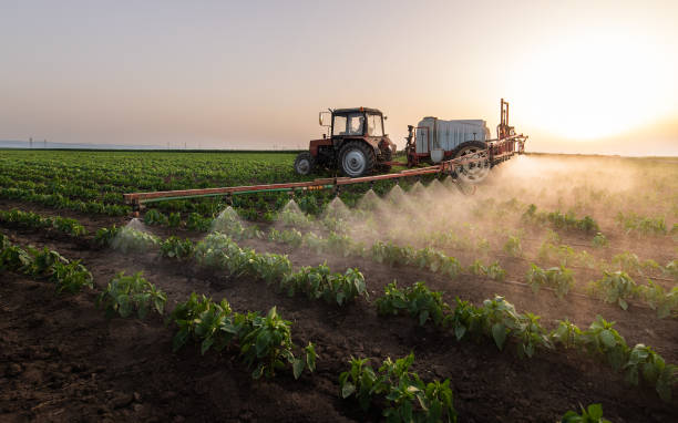 Best Insect Control  in Forrest, IL
