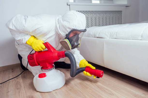 Best Termite Control Services  in Forrest, IL