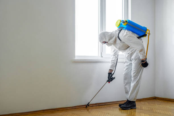 Best Pest Control for Restaurants  in Forrest, IL