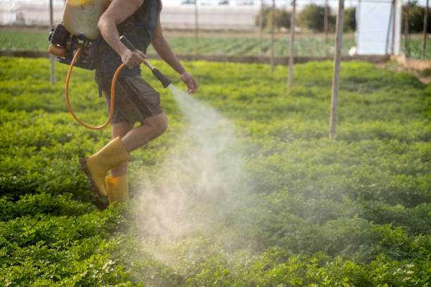 Best Best Pest Control Near Me  in Forrest, IL