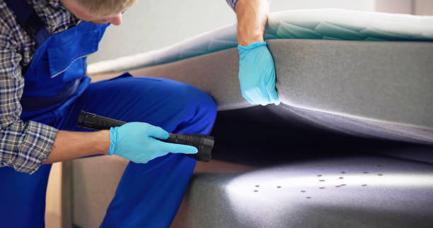 Reliable Forrest, IL Pest Control Solutions