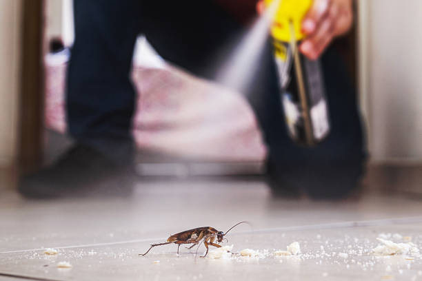 Best Pest Control Near Me in Forrest, IL