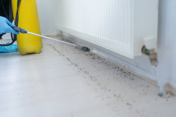 Best Wildlife Control Services  in Forrest, IL
