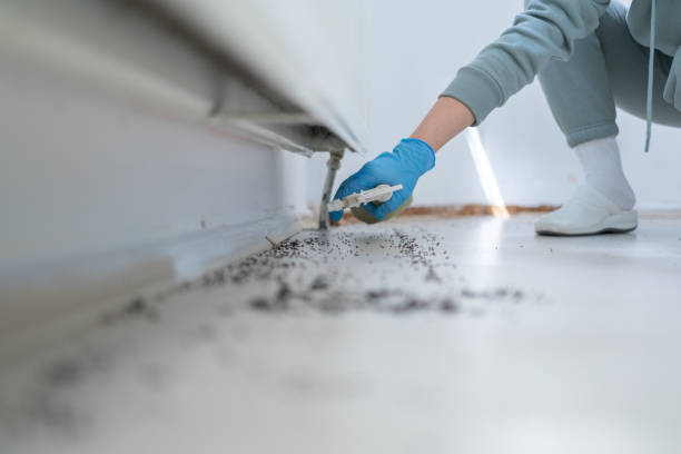 Pest Control for Restaurants in Forrest, IL