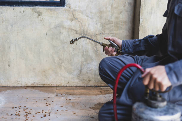 Best Flea Control Services  in Forrest, IL